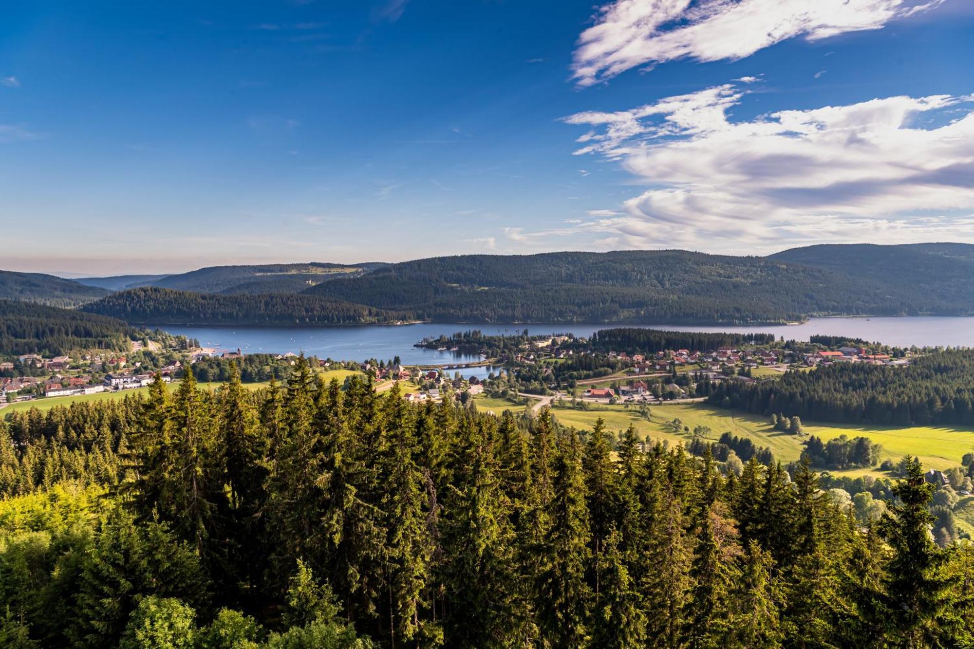 Apartment 13 - Ferienresidenz Roseneck, Mit Schwimmbad In Todtnauberg Bei Feldberg Экстерьер фото