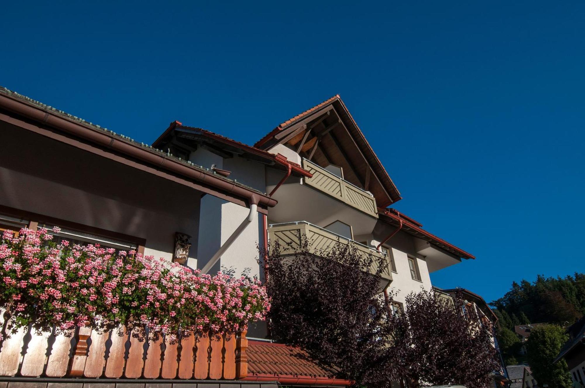 Apartment 13 - Ferienresidenz Roseneck, Mit Schwimmbad In Todtnauberg Bei Feldberg Экстерьер фото