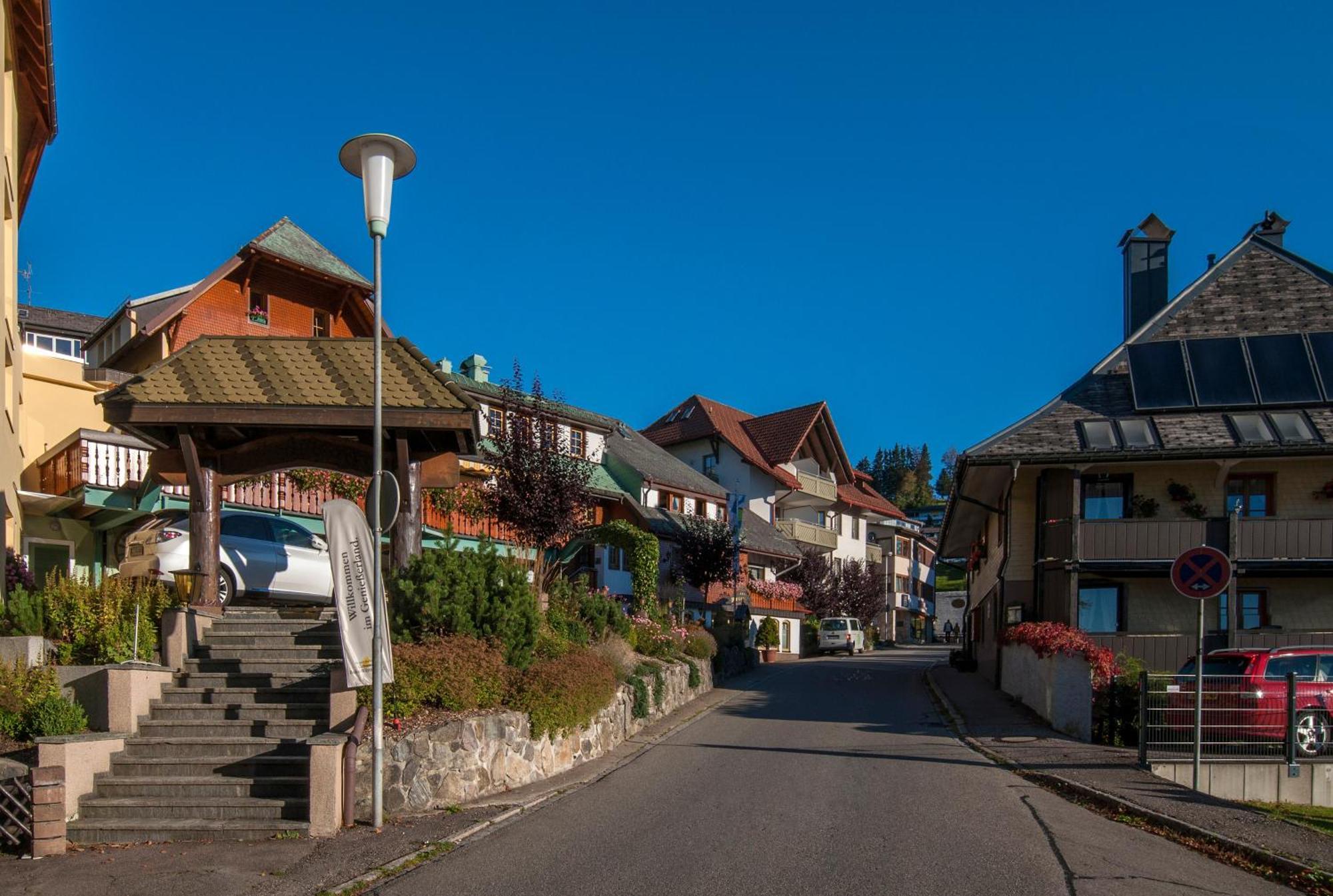 Apartment 13 - Ferienresidenz Roseneck, Mit Schwimmbad In Todtnauberg Bei Feldberg Экстерьер фото