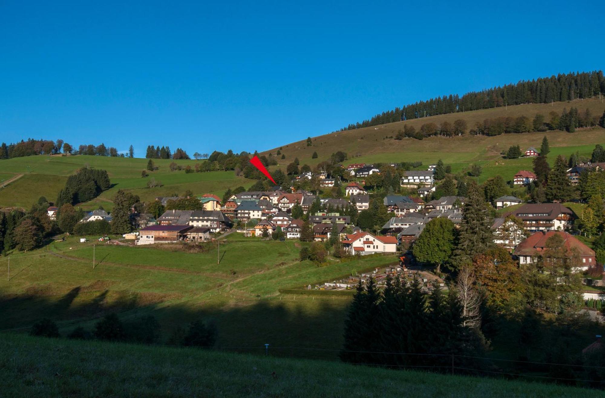Apartment 13 - Ferienresidenz Roseneck, Mit Schwimmbad In Todtnauberg Bei Feldberg Экстерьер фото